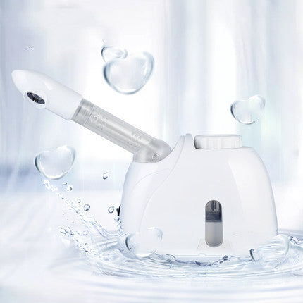 Golden Rice Facial Humidifier